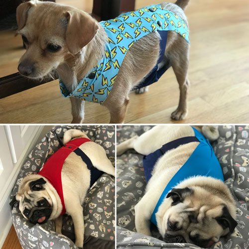 barkitwear's tweet photo. Our P-Suits® are red,  and they're also in blue . And yes, we even have Thunderbolts too 🐶
Spring may be around the corner, but our new colors are here.
Shop our new styles at https://t.co/7kegsQuwK2 🐾🐕🐾
#dogs #dogsoftwitter #dogsofinstagram #pup #dogtraining #dogdiapers https://t.co/Yh4N0LP97U