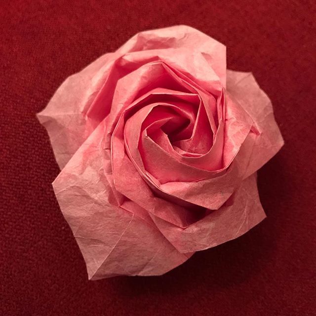 Naomikisatorose Hashtag On Twitter