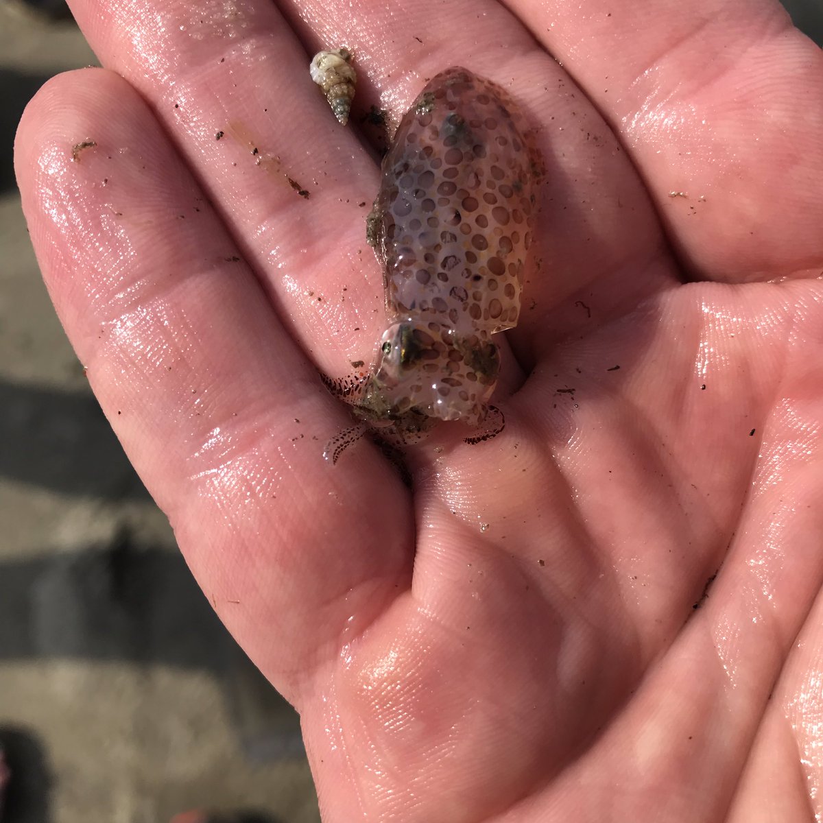 John Faison tweet media