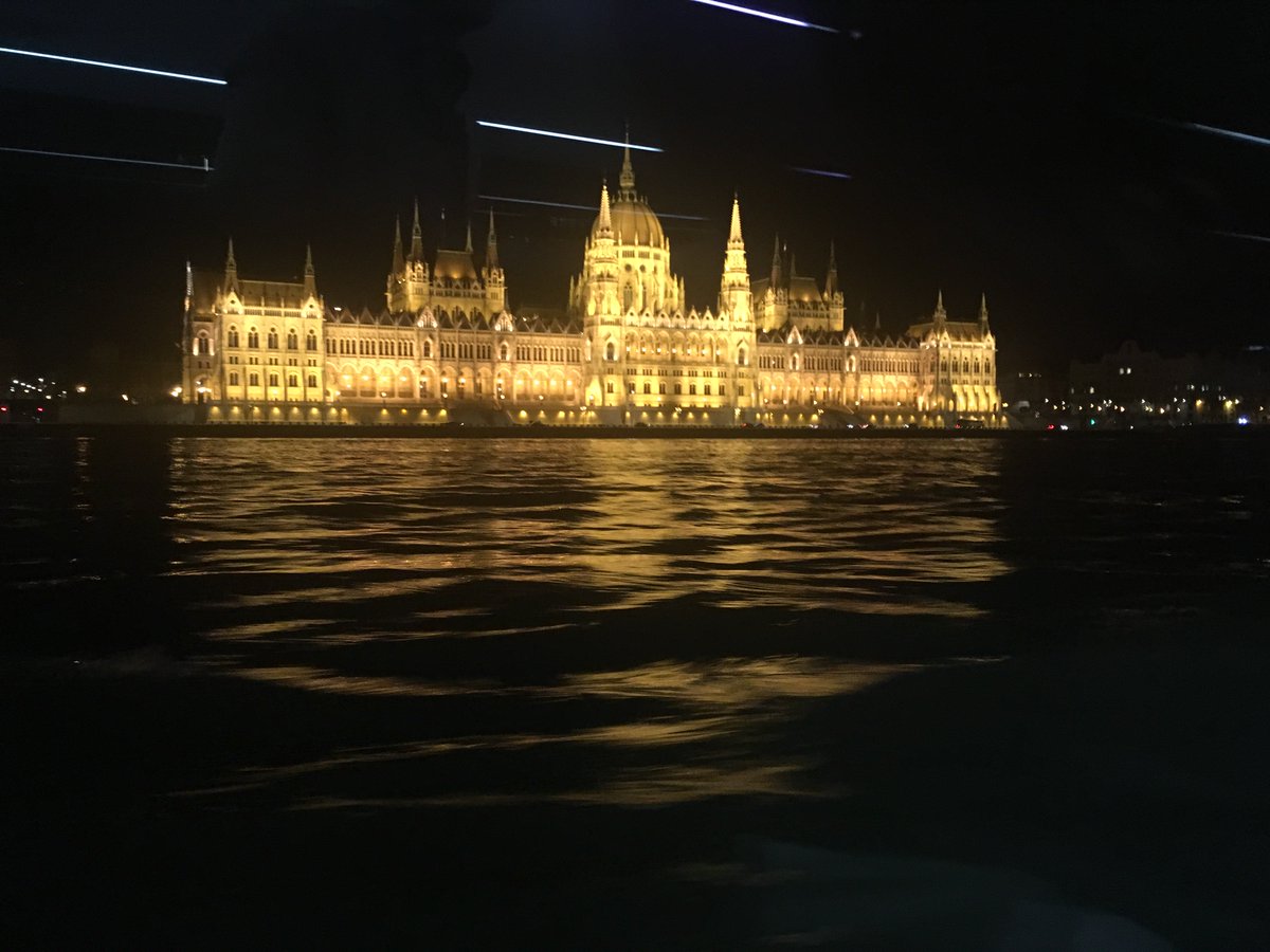 RareEndoERN tweet media