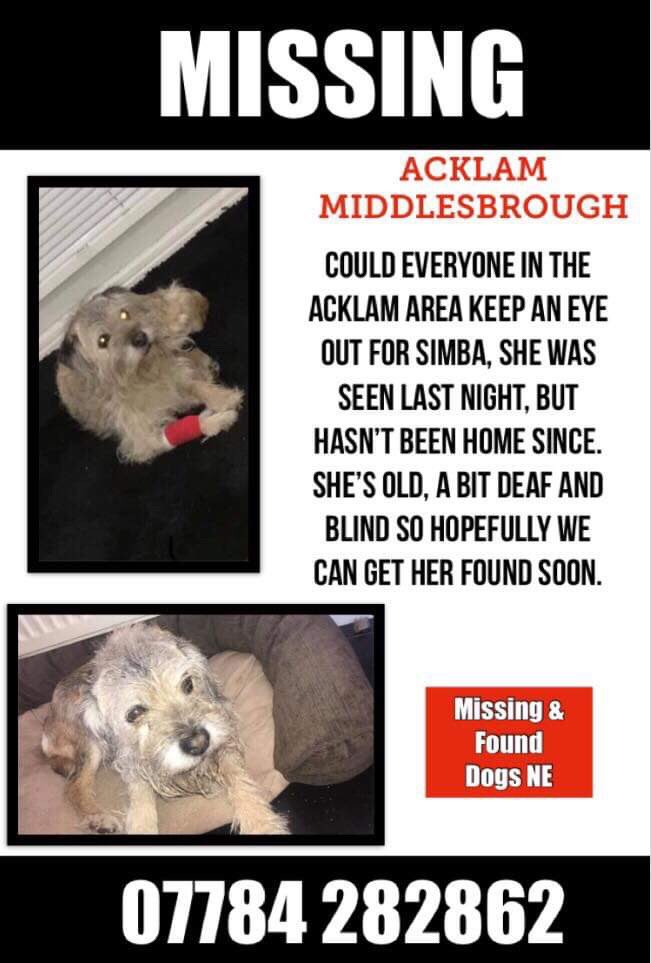 rosiedoc666's tweet image. SIMBA #missing from the #Acklam area of #Middlesbrough 
❗️❗️LOCALS PLS PLS CAN YOU LOOKOUT FOR ELDERLY SIMBA❗️❗️she's a proper home bird &amp;amp; wouldn't normally wander 😞10/3/19 it's just not like her