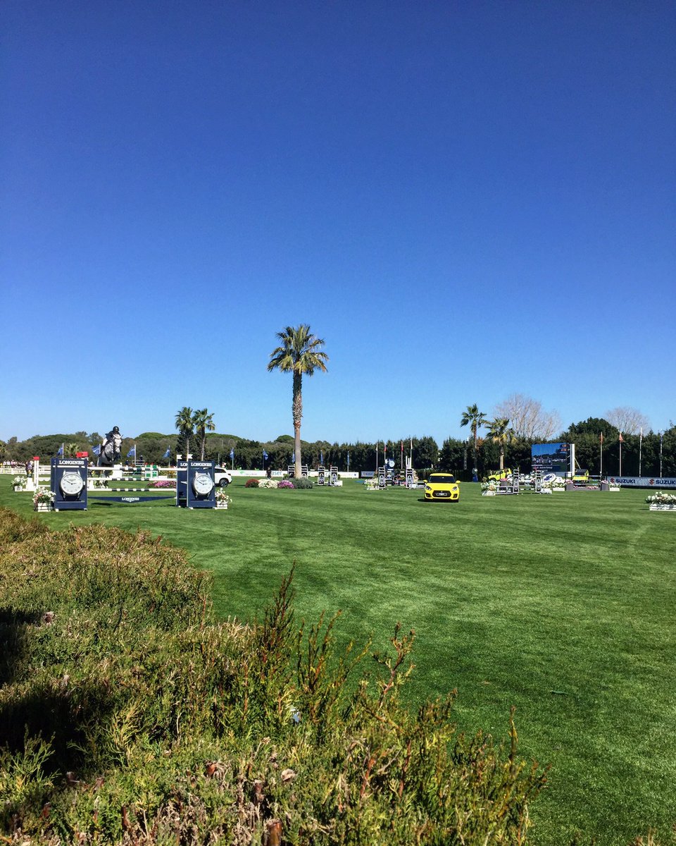 Bieke Thill tweet media