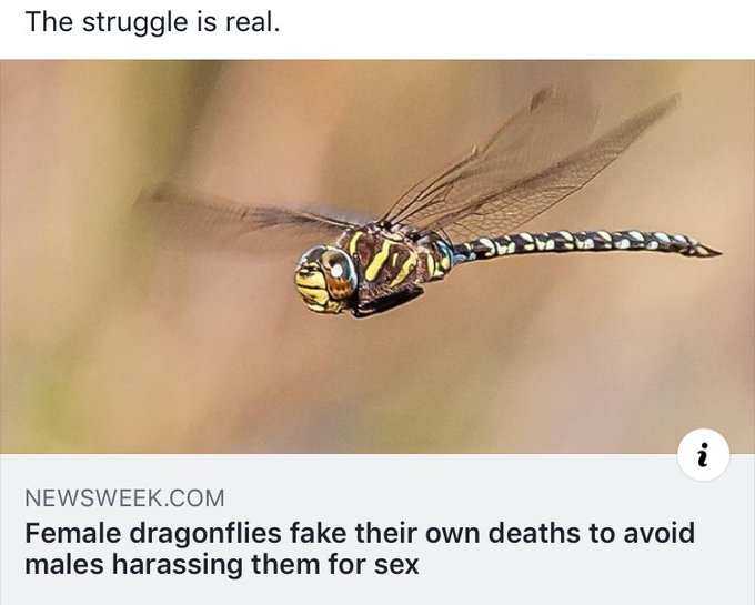 Might as well get paid to be sexy. 🤷&zwj;♀️ https://t.co/O9nB1xj83s<a href="/tag/big"class="tags"><span>#big</span></a><a href="/tag/bigdick"class="tags"><span>#bigdick</span></a><a href="/tag/camgirl"class="tags"><span>#camgirl</span></a><a href="/tag/polyamorous"class="tags"><span>#polyamorous</span></a><a href="/tag/poly"class="tags"><span>#poly</span></a><a href="/tag/nm"class="tags"><span>#nm</span></a>