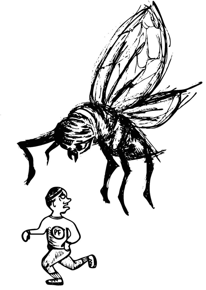 thepourfarm's tweet photo. The Running of the Black Flies!  5k race at The Pour Farm brewery in Union, ME - June 8, 2019. Reg includes tee shirt + free post-race pint of beer (over 21) + Dead cover band at finish line. Chip timed.  https://t.co/nQrHCgBNu9 #runME #runmaine #mainerunning #mainerunner https://t.co/yOoUMraKfV