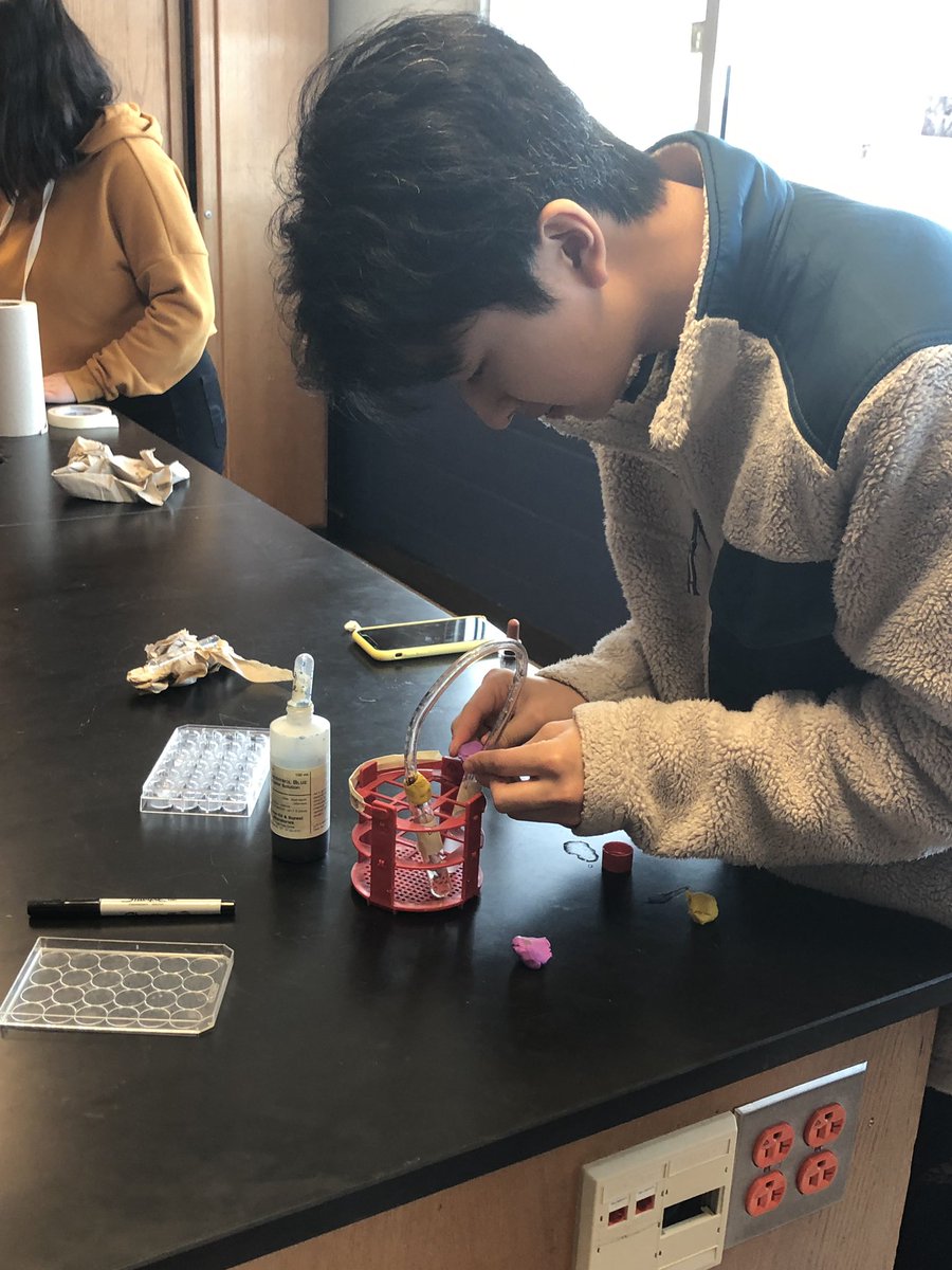 MsCourtJacobs's tweet photo. A peek into Block Science students in @MrsRosellRHS class creating their own experiments to find out how the campers in our case study became ill. #blockscience #RHSFalcons https://t.co/EgRfEDNbFU