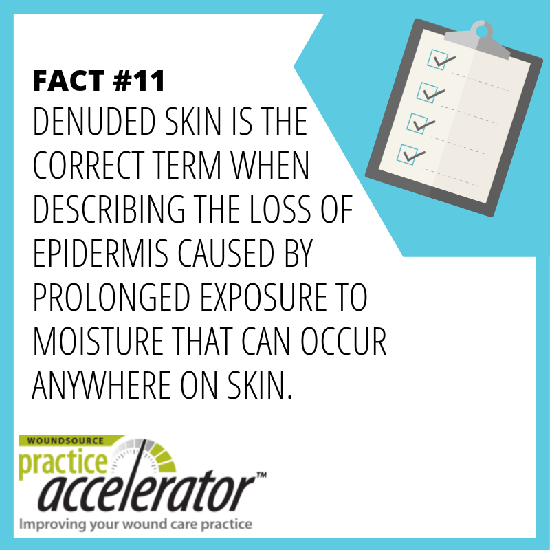 WoundSource's tweet photo. Fact-A-Day | Fact #11
https://t.co/MVmeQzYMUw #WoundSourcePractice Accelerator #SkinManagement https://t.co/501r1euDAu