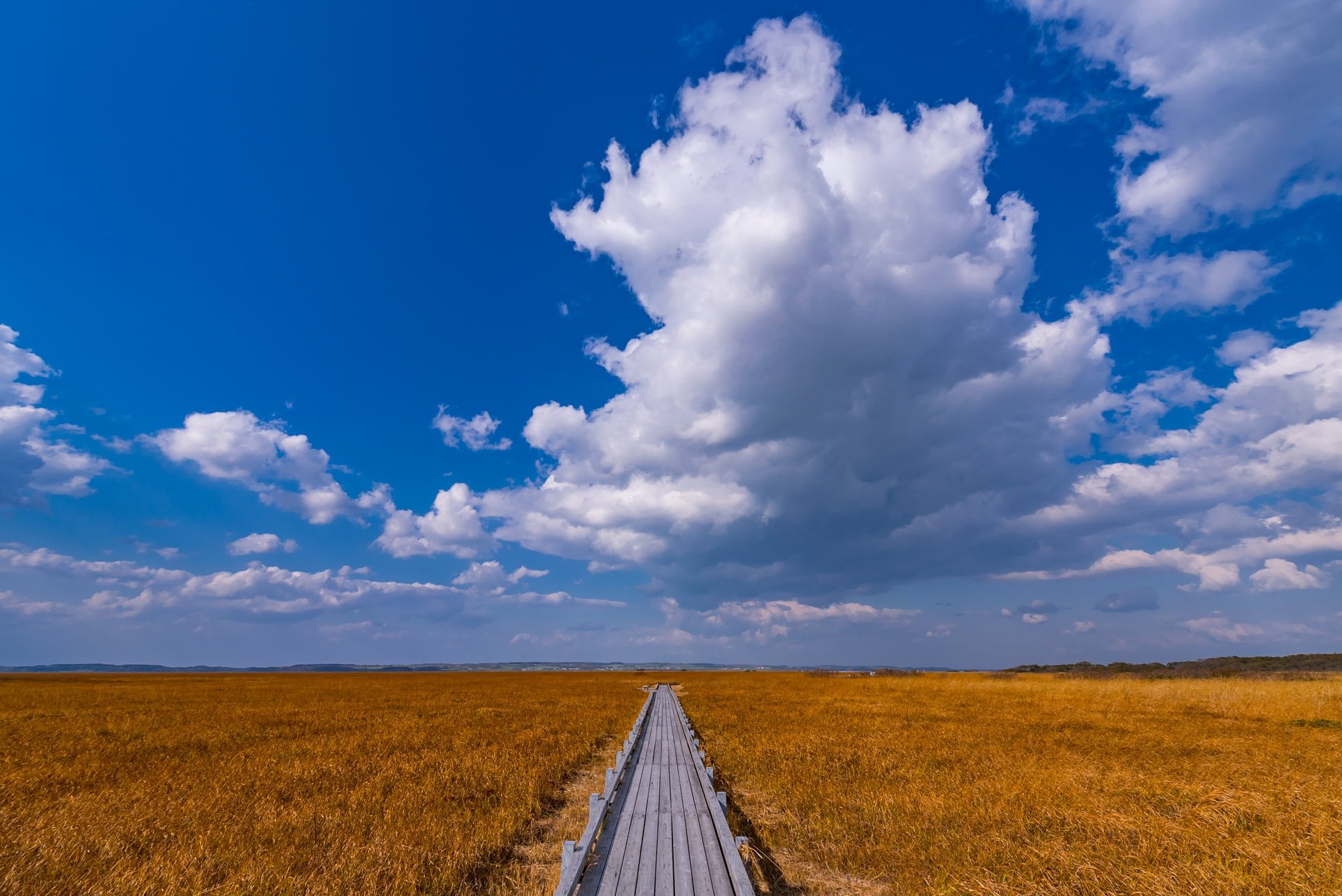 تويتر Tsumizo على تويتر サロベツ原生花園 サロベツ湿原 北海道 東京カメラ部 Tokyocameraclub T Co Veat37o7yj