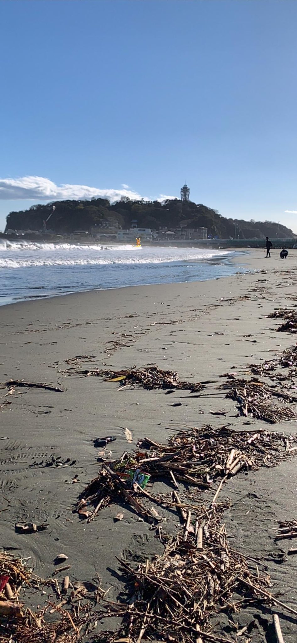 なみのりライチュウ Twitter Search Twitter