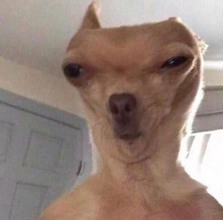 //Me when I notice a misspelled word in my text right after I send it and they see it.