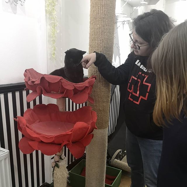 kittinpandaria's tweet photo. The Rammstein girl with the unruly hair pets the black cat. Not your typical Monday. #notyourtypicalmonday https://t.co/LWuQ5t7xPl
