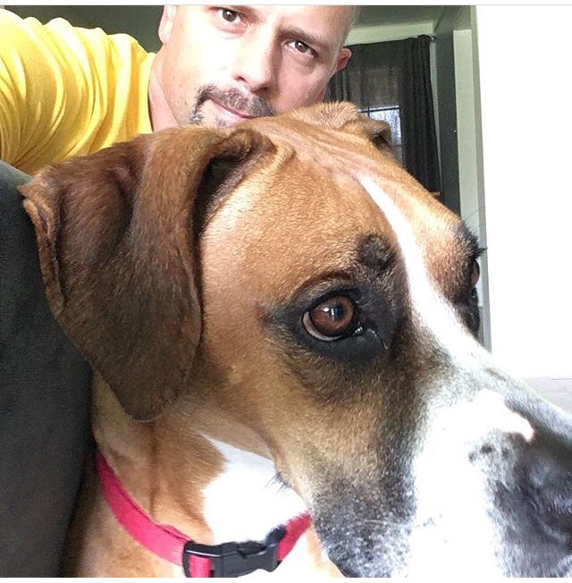 JohnDawsonFox26's tweet photo. We try. But @Sam_the_Boxer doesn’t always get the #selfie. https://t.co/m9O5RVIiRO