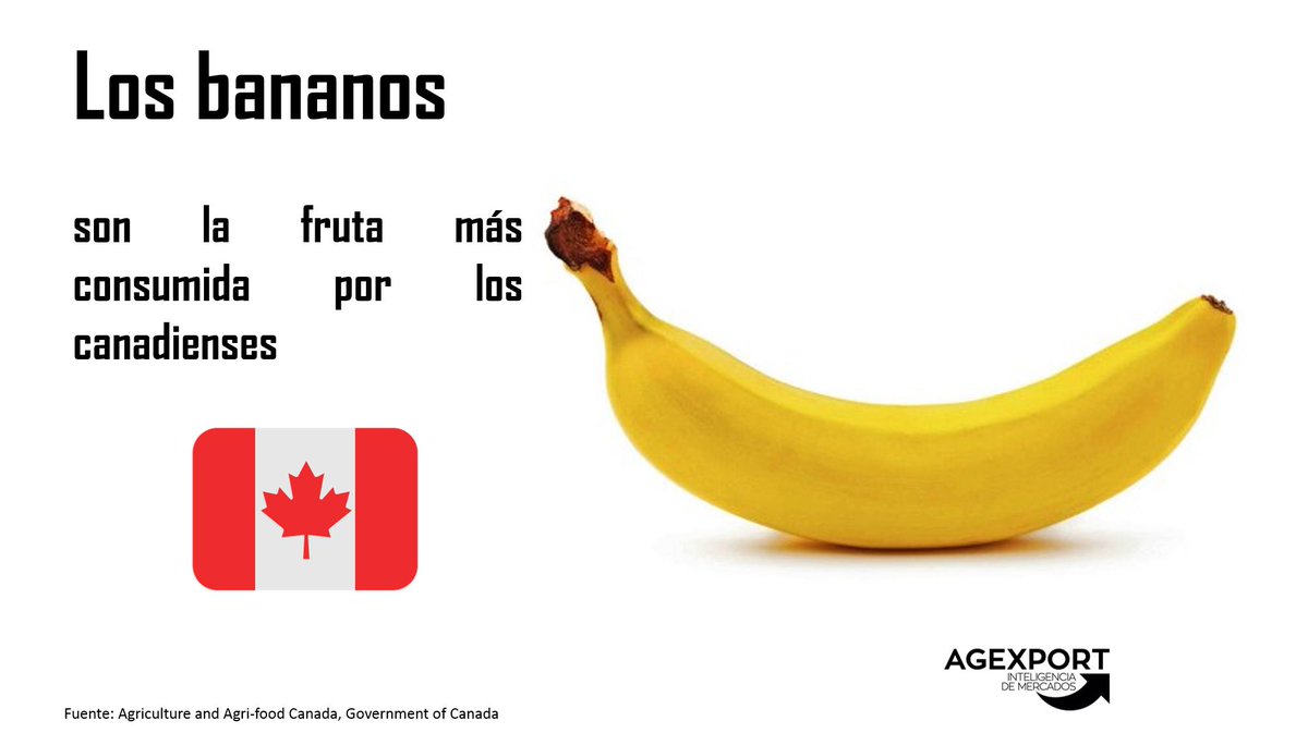 inteligencia_me's tweet photo. Guatemala es el principal proveedor de #Bananos #Frescos para #Canadá. En 2017 se #Exportaron US$175 millones desde nuestro país.
#BeyondExpectationsGT #InteligenciaDeMercados #ExportacionesGT #BestMarkets2019 #Guatemala
@Paolaalv
@AGEXPORTGT https://t.co/VqX0P9clBJ