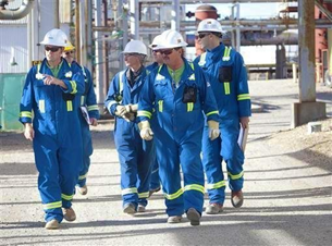 CNOOC Campus Team tweet media