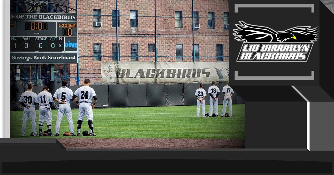 ShearonCooper's tweet photo. Proud to announce my commitment to LIU Brooklyn! https://t.co/VYkMUaBWt8