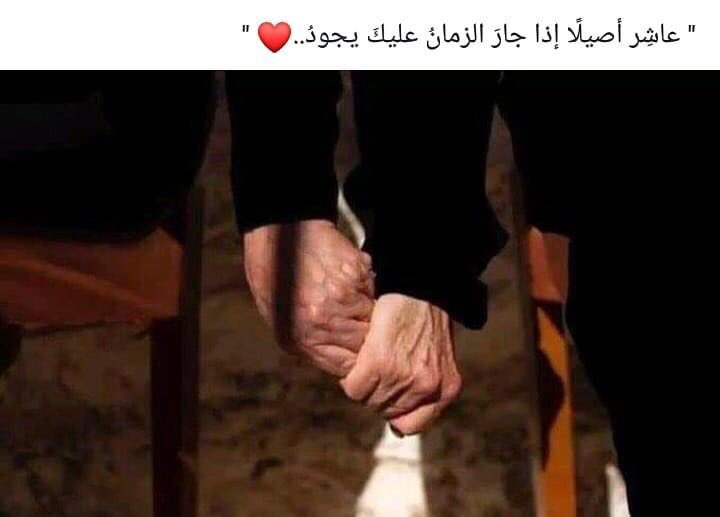 zayedtnt's tweet photo. https://t.co/4ZFeSoAk6H
