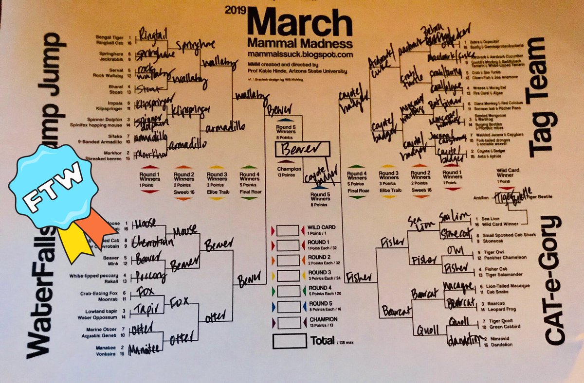 sarahmspector's tweet photo. Beavers change rivers  #2019MMM https://t.co/GoAIOlumKV