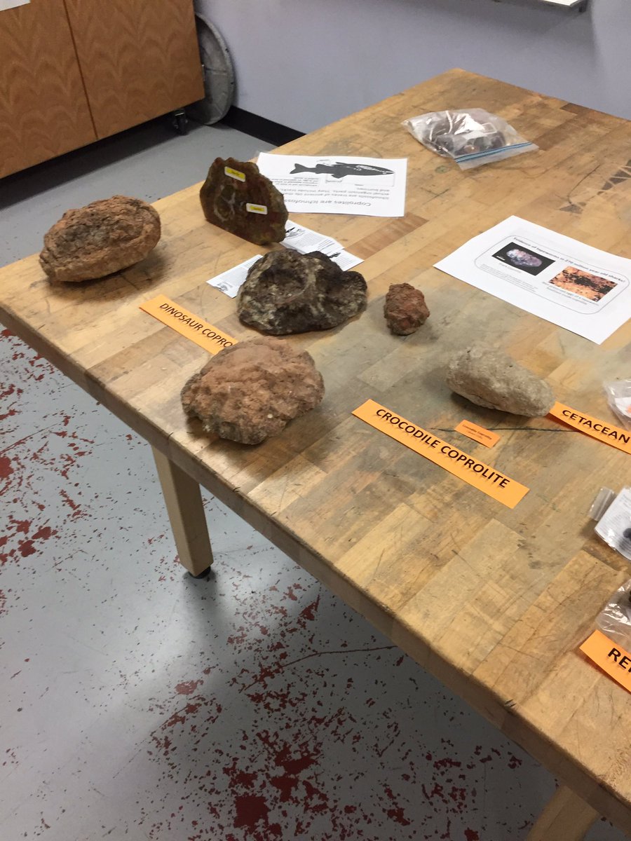 Rob King tweet media