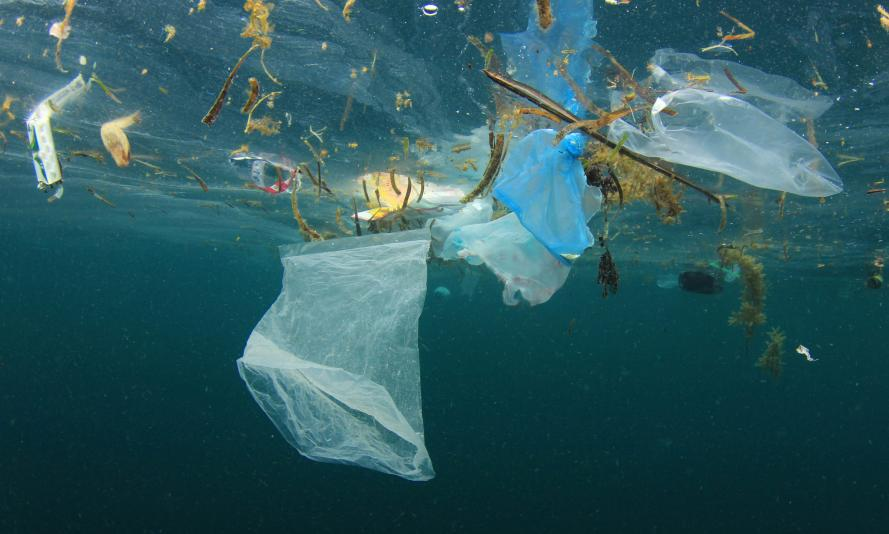 secomach's tweet photo. El plástico como parte de basura acaba la mayoría de veces en el océano. Una botella plástica tarda 450 años para desintegrarse a micro plastico, por esta razón animales marinos que viven hasta 10k metros debajo de la superficie han ingerido plástico https://t.co/qCaCUZ0FEm