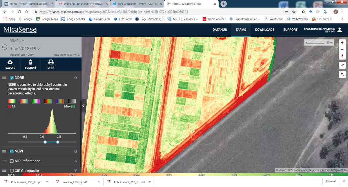 @GribbleRC @GrowerService @data_farming NDRE image of our variety by nitrogen experiments at RRAPL last week. MicaSense RedEdge  camera, 120 m, 80% overlap, 12 noon.
You can clearly see the red strips which are the zero N rates.