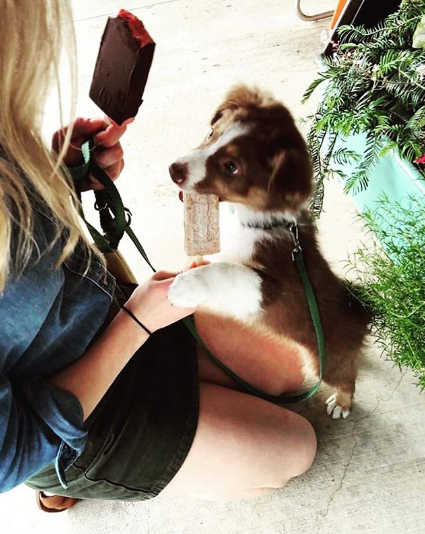 Our free St. Pawtrick's Day soft opening event is this weekend and we are excited to announce that <a href="/MEMPopS/">MEMPopS</a> will be with us on both days with hooman pops and pup pops.🐶🍀 Learn more and RSVP -> bit.ly/2IO7ztg