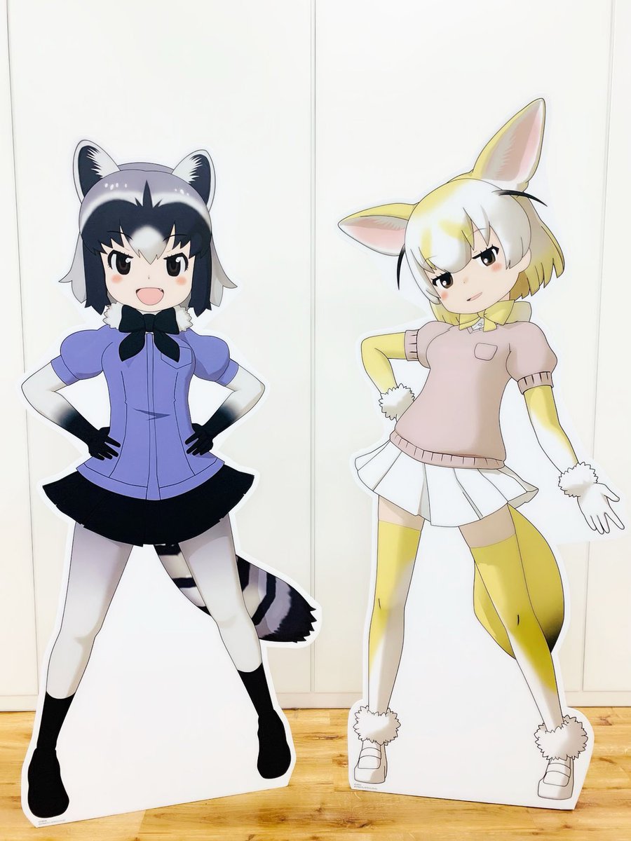 けものフレンズ３ 公式アカウント アライさんとフェネックなのだ アライグマは小さく丸みのある耳をしているので アライさんの耳もちょこんと小さめ フェネックは大きくシュッと伸びた耳を持っており なんだかふたりの正反対な性格を表してる