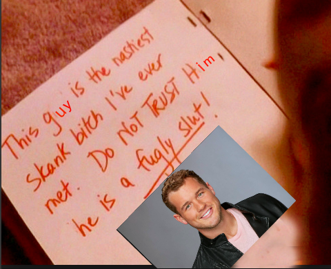 Rach_Haylee's tweet photo. "DO NOT TRUST HIM HE IS A FUGLY SLUT"

#TheBachelor #TheBachelorFinale https://t.co/hwqDUpm7Ih