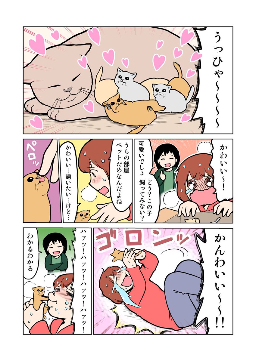 アットホーム Pa Twitter Twitter人気漫画家コラボ企画 第２弾の作者はきくまきさん Kikumaki00 夢の猫ライフは実現するのでしょうか ペットと暮らすお部屋をさがす T Co Hdjo5kkihp 漫画は全4回配信予定 アットホーム 猫 ペット