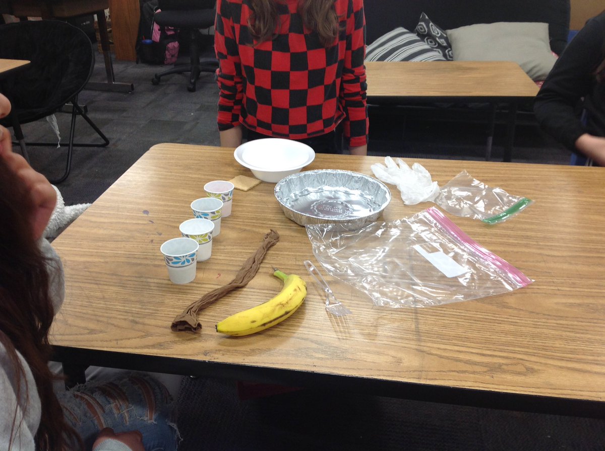 markswanson7115's tweet photo. Digestive System from start to finish. Hands on learning. Great Fun! https://t.co/GWY5bG7NRA