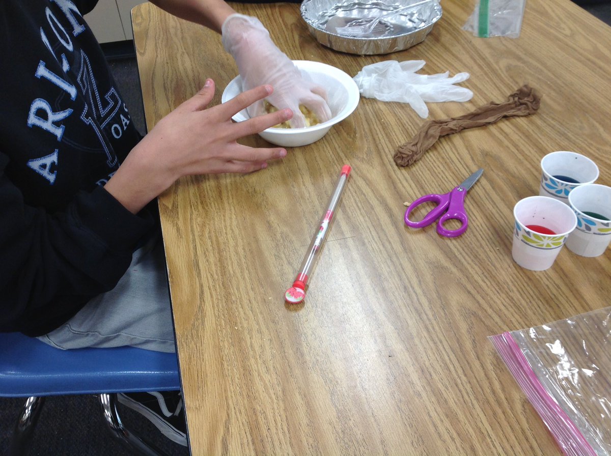 markswanson7115's tweet photo. Digestive System from start to finish. Hands on learning. Great Fun! https://t.co/GWY5bG7NRA