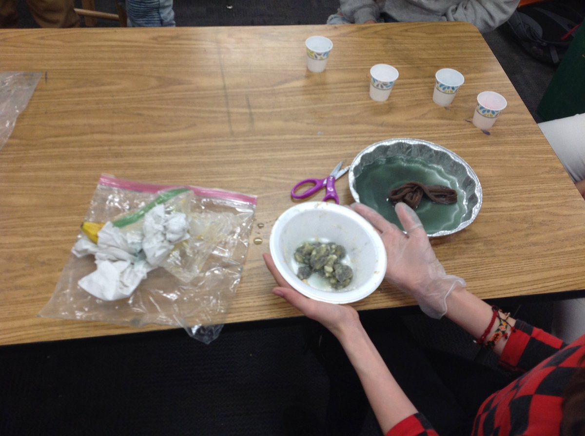 markswanson7115's tweet photo. Digestive System from start to finish. Hands on learning. Great Fun! https://t.co/GWY5bG7NRA