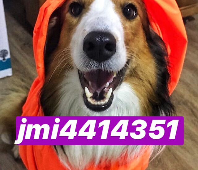 RappiArg1's tweet photo. Descargá Rappi, activá este código 👉🏼 jmi4414351 👈🏼 y se te acreditan 1000$ Para costos de envío. https://t.co/M3cS8T5Kvw