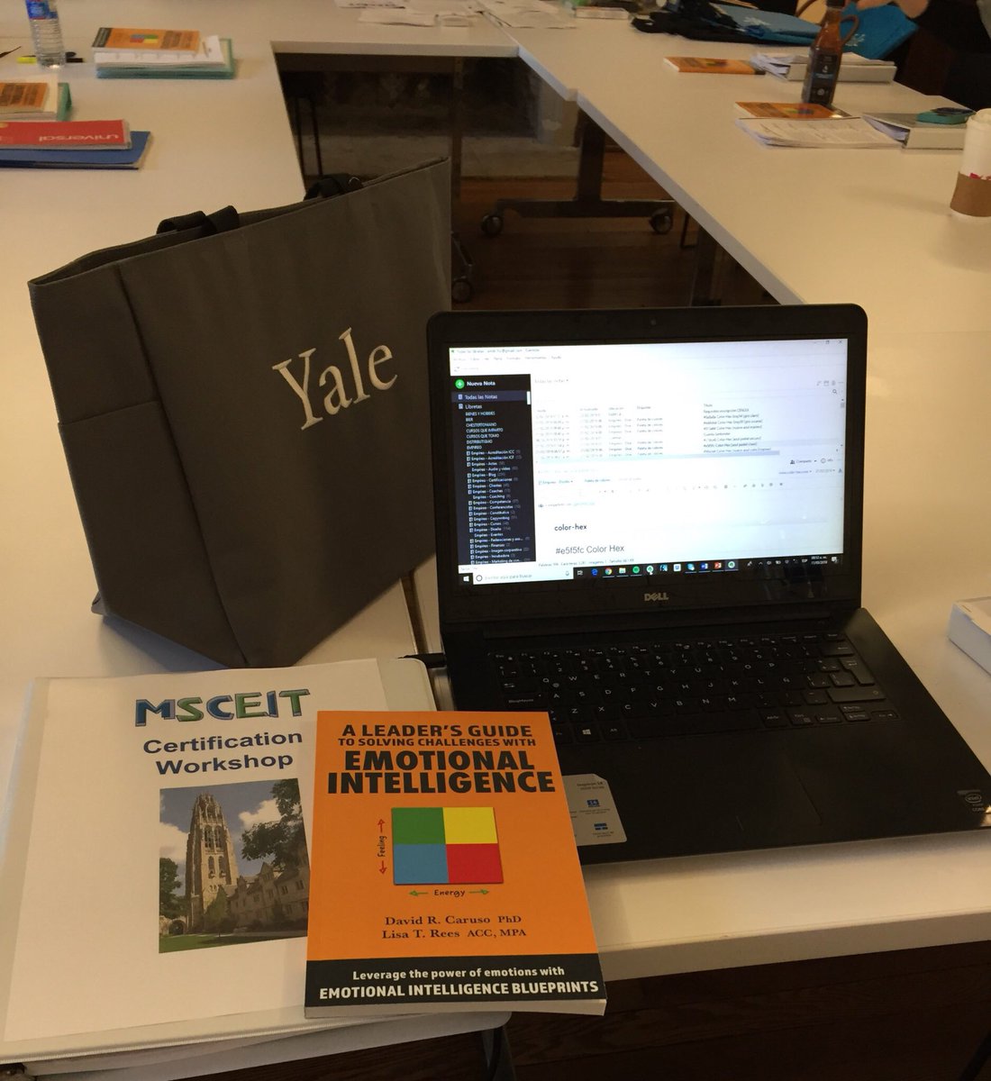 arturo_mdc's tweet photo. #EmotionalIntelligence #MSCEIT Certification Workshop at @Yale. https://t.co/c44DDZwa8n