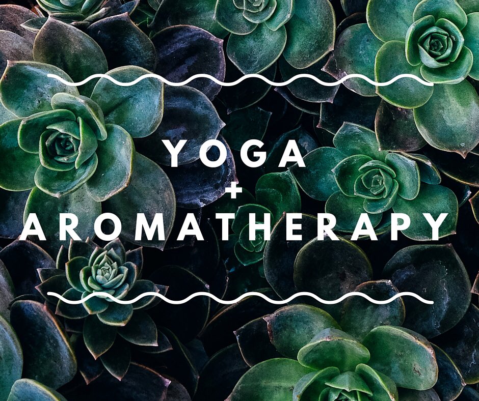 ThePointEB's tweet image. Restorative Yoga &amp;amp; Aromatherapy Self-Love

Align the physical &amp;amp; mental by practicing gentle movement set to relaxing music &amp;amp; therapeutic aromatherapy in this 75 min restorative yoga workshop. Class will be followed by a deep relaxing savasana w/ optional massage.
Fri. 03/22 7pm