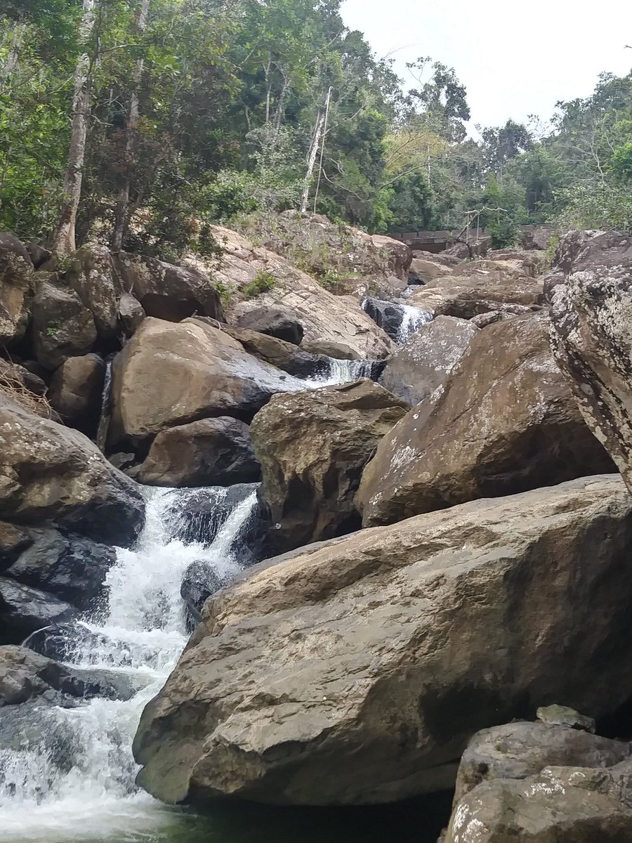 EsparraHector's tweet photo. Río Espíritu Santo - El Yunque National Forest, near El Verde Field Station. What an awesome trip before #aslo19!
-with @dkashian and @TheRealBDabney
#home 🇵🇷 https://t.co/ott6rQVuvc