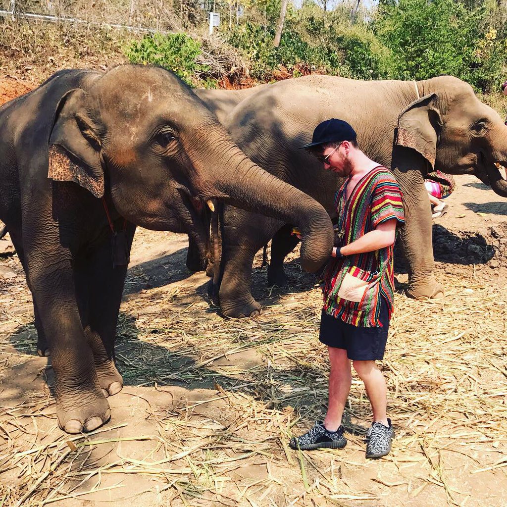 l_scottow's tweet image. What an amazing day. 🐘