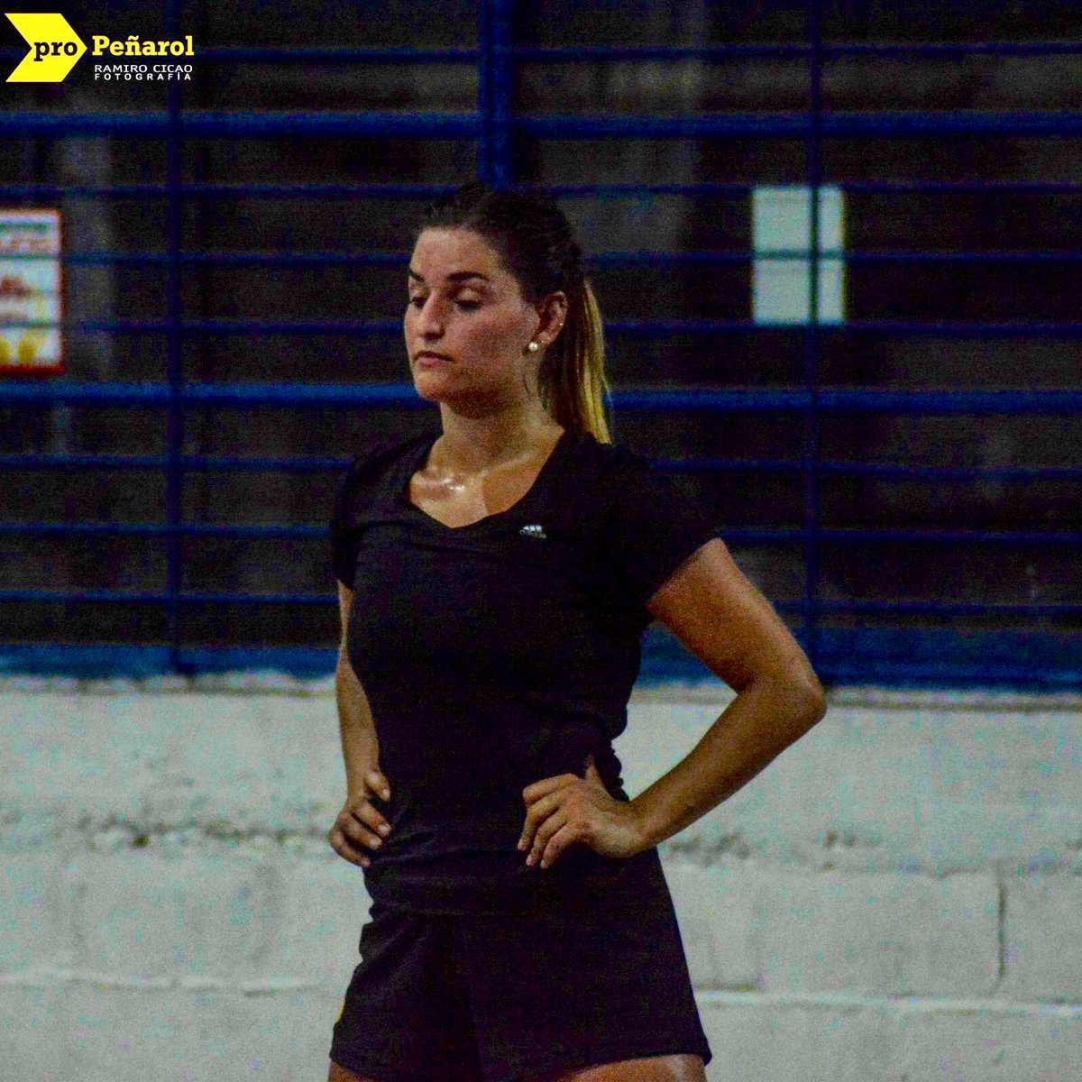 Cada vez más cerca del arranque 💪🏼<a href="/CAP_Handball/">PEÑAROL Handball</a> . #HayEquipo