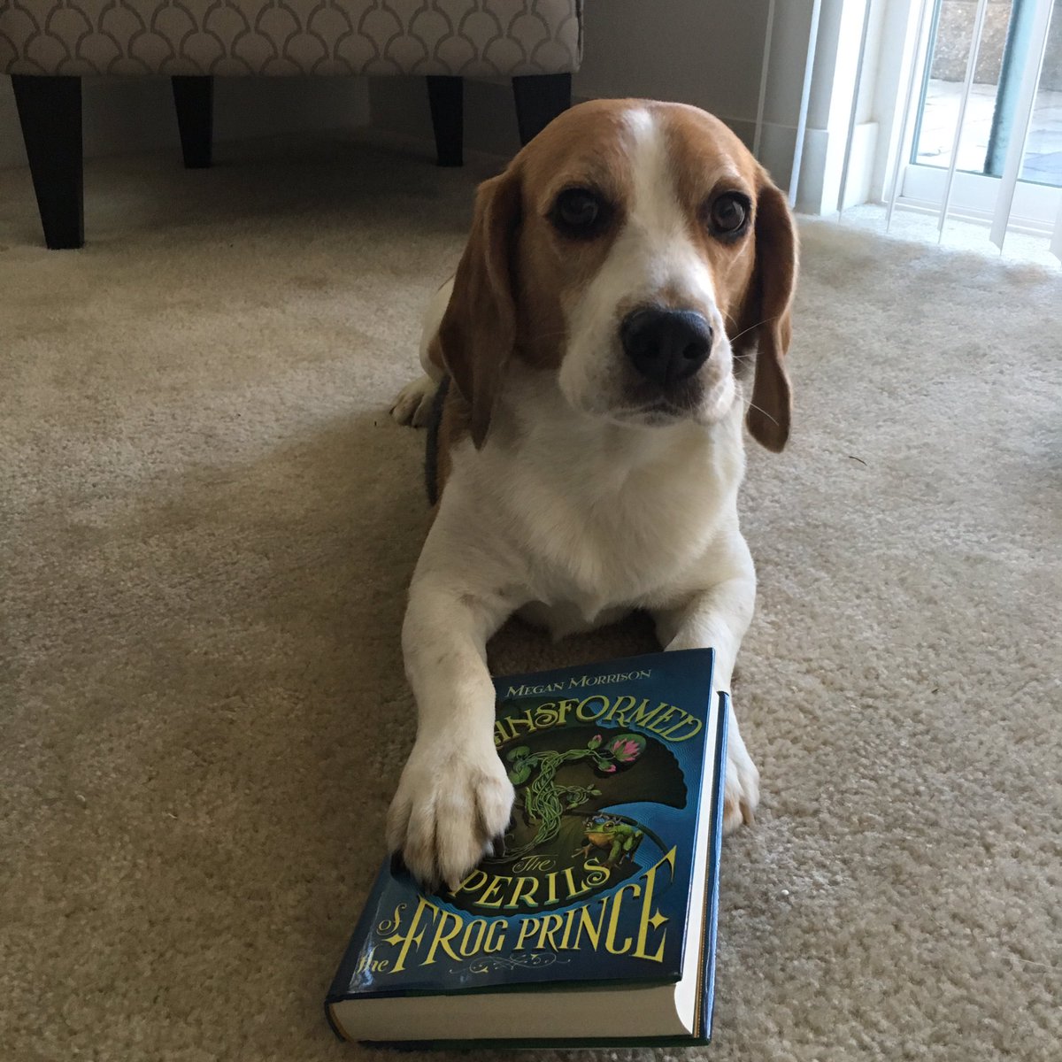 Thank you thank you <a href="/Scholastic/">Scholastic</a> <a href="/AALBooks/">Arthur A. Levine Books</a> for making my day with this incredible bookmail!✨Can't wait to enjoy it with my Bookish Beagle😊