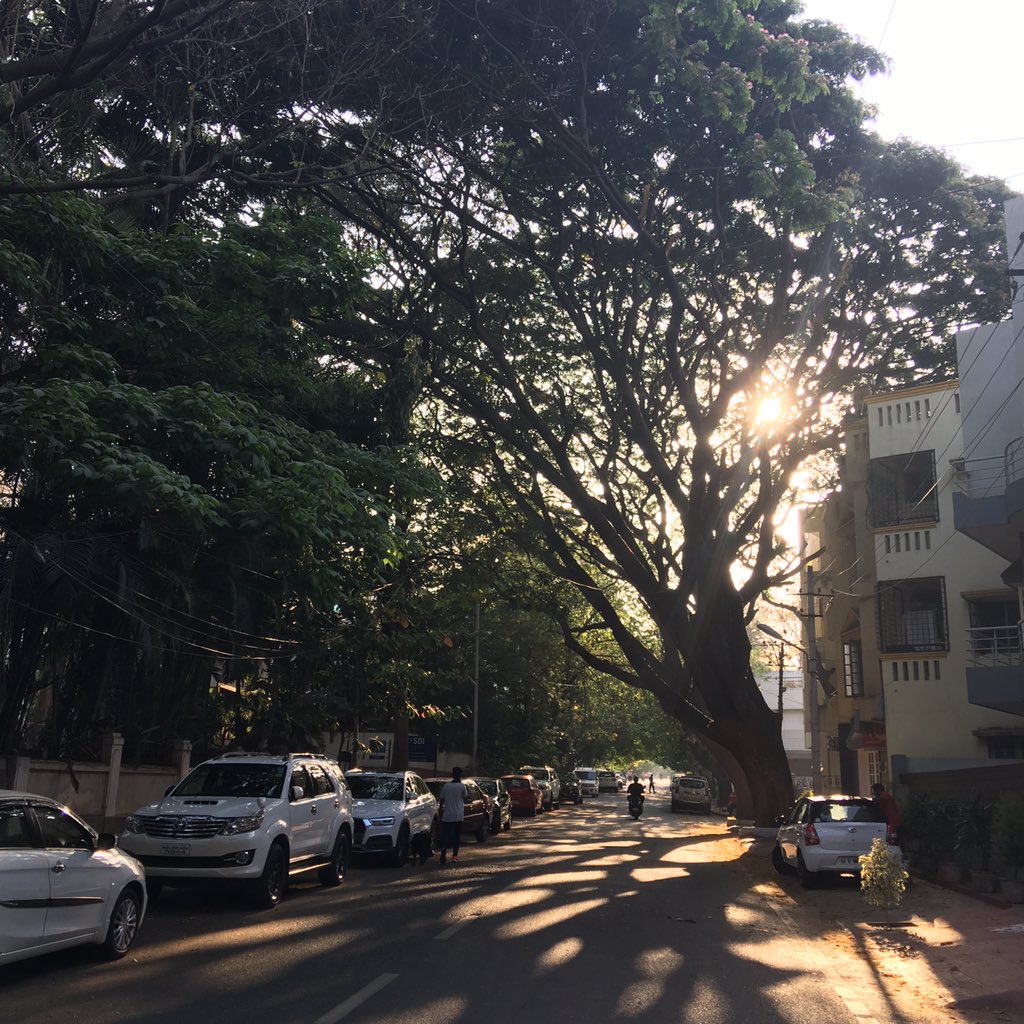 Nithin's tweet photo. 6:30 AM: 140 BPM HR run. Timely #PSA to all the Bengalureans; please #savethetrees, or what’s left of them
#Runners360 #HRbasedrun #180method #MAFmethod #werun2019 #werunbengaluru #nikeplus #nikerunning #nikerunclub #brooksrunning #brooksghost10 #sunrise #nature #nofilter #trees https://t.co/xW2FumtBwa