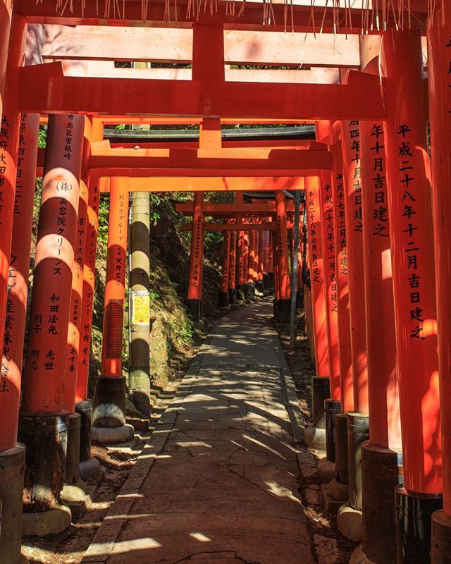 danbriese_'s tweet photo. Red Torii-Gates at Fushimi Inari in Kyoto.⁣
.⁣
.⁣
.⁣
.⁣
#torii #fushimi #inari #kyoto #red #latergram #日本 #japanfocus #lovers_nippon #visitjapan #japanlife #nihon #japantrip #team_jp_ #nippon #lifeinjapan #cooljapan #instajapan #ilovejapan #japan… https://t.co/lMU3XEAlpW https://t.co/l5KuzaDl9U