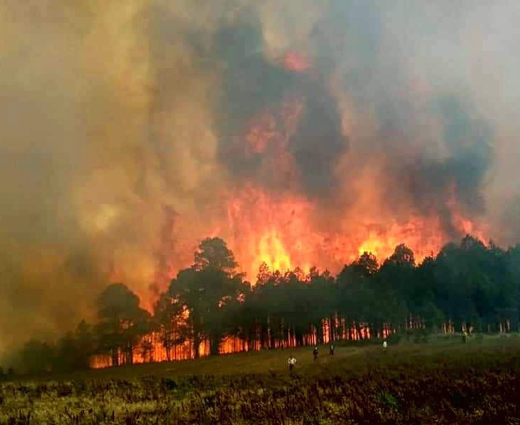 🌲🔥🌲🔥🌲🔥 Por incendio en #LasVigas, #Veracruz 
⚠️AYUDA‼️#RT #Xalapa