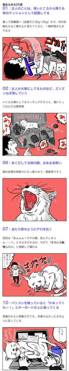 ネコ好きだけがわかる『猫あるある』25選と、ネコ好きが想像したこともない『猫ないない』25選|TIME&SPACE by KDDI
https://t.co/dAALa5dtVY

ネコを飼っている人なら「あるある!」と言ってしまうネタ25本と、完全なる事実無根のウソ25本をまとめました。後半はウソです。信じないでください。 