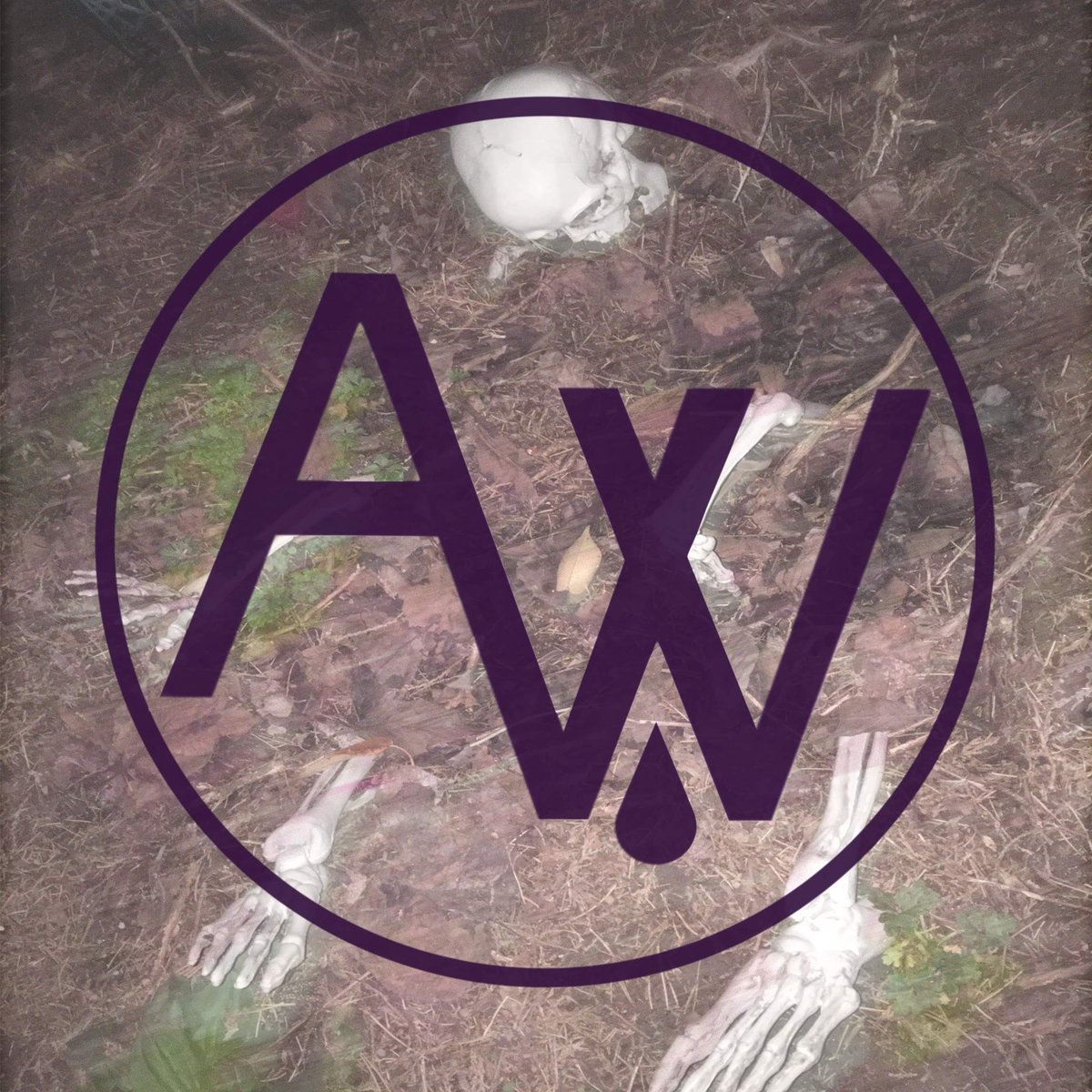 #NewProfilePic #nomakeup