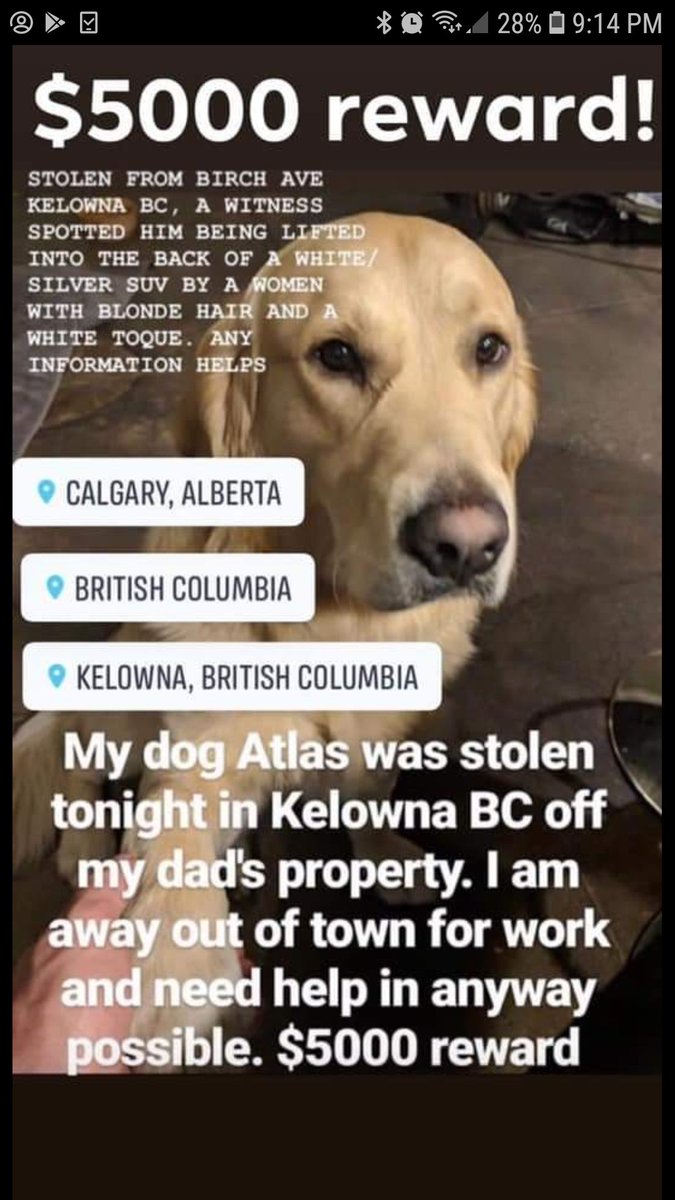 TWITTER FAMILY!  You may or may not have seen a post on this dog. But please help in retweeting and help bring this pup home. There's video footage of the dog being stolen too😥