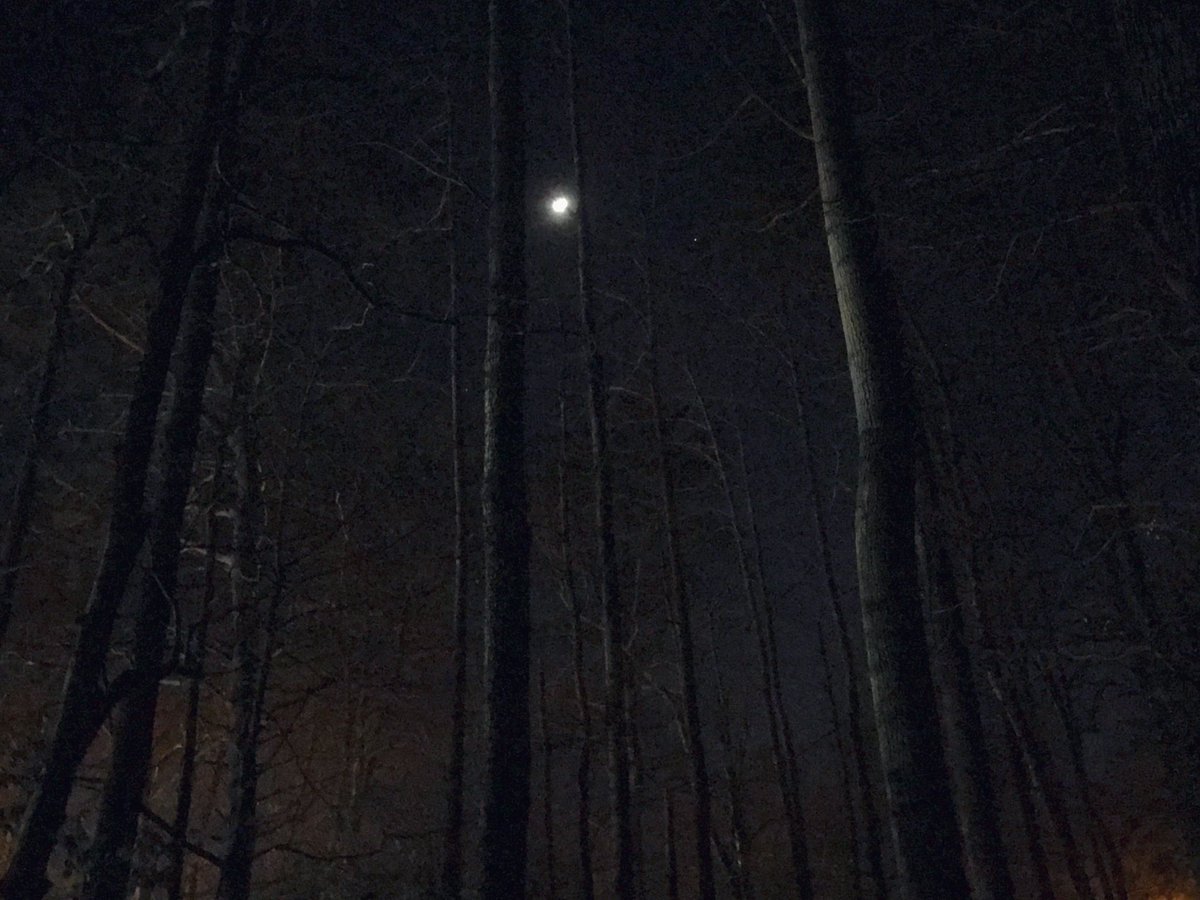 Bigfoot Beautiful And Peaceful I Love The Sounds Of The Forest At Night It S A Really Nice Backdrop Too For The Sound Of My Footsteps Pounding The Forest Floor Love