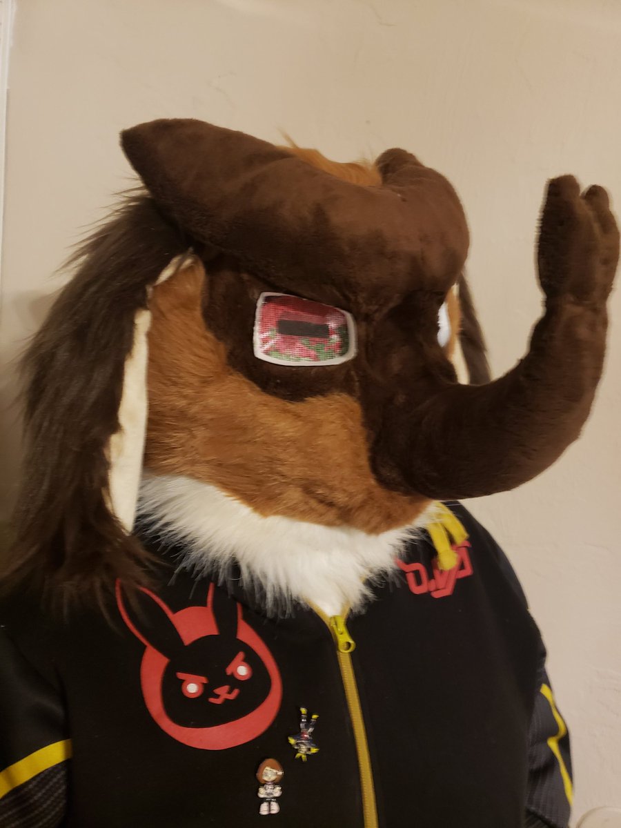 Buttercream243's tweet photo. The other eye is a different color cause Breaburn is a type of apple so red for apple I guess!! #fursuit #fursuiter #newfursuit #furry #fursuitmaker #bugfursuit #goatfursuit https://t.co/GMXql9HQJI