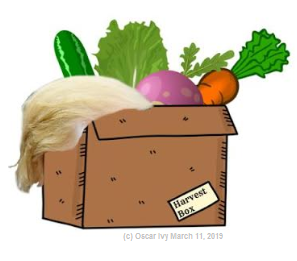 Jess_Bartholow's tweet photo. Trump proposes #HarvestBox again in his #Budget2020 #2020Budget so he can use the $ he saves from #SNAP cuts "toupee" for his #TaxScam #TaxBreak for the wealthy. Doesn't he know, you can't comb-over cruelty.  We know it when we see it. #TalkPoverty #HandsOffSNAP https://t.co/0YHougiNHd