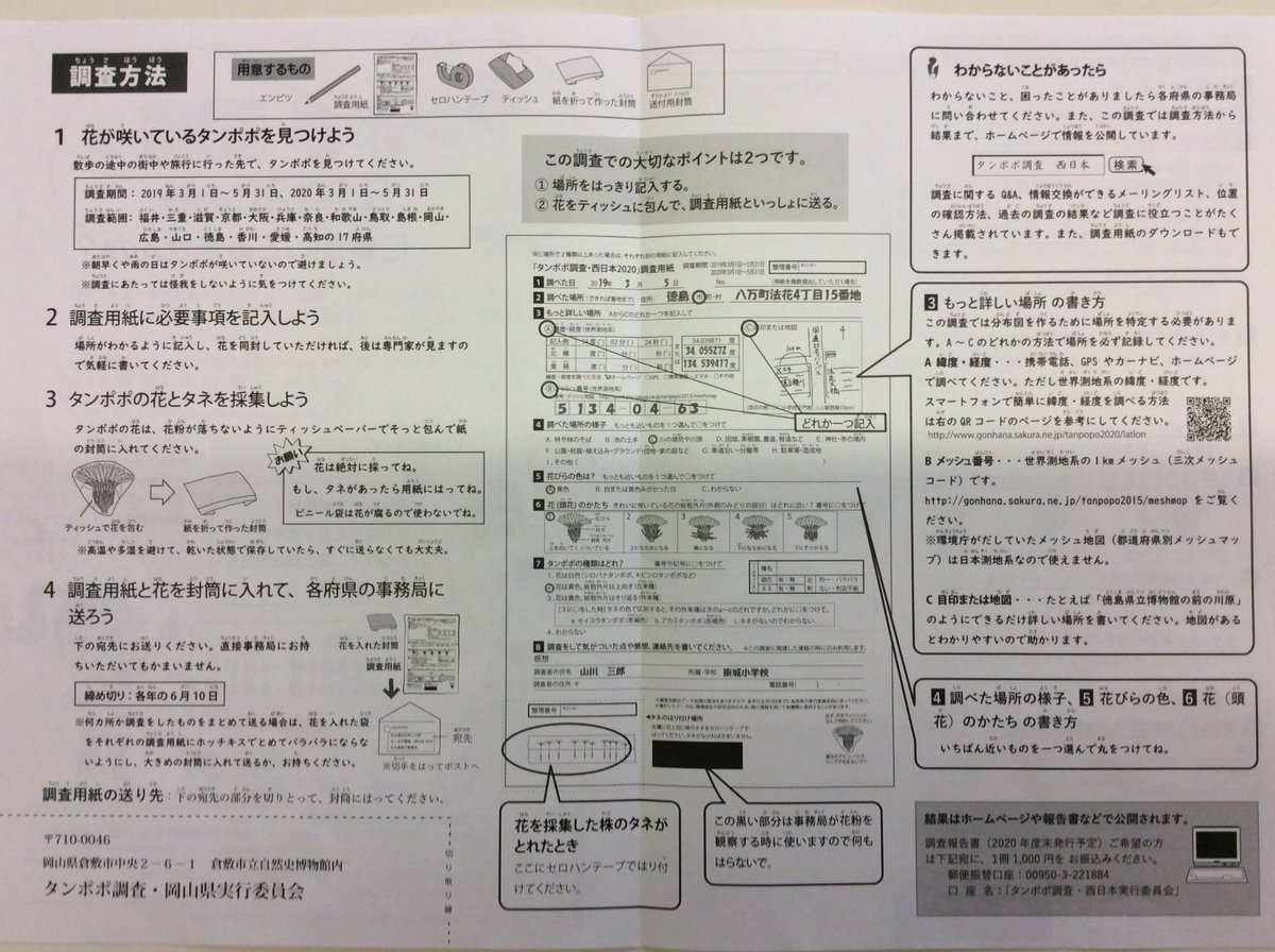 パオちゃん V Twitter タンポポ調査 西日本 2020 に参加しま