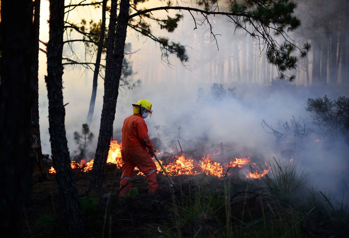 Sin control el área afectada por el #incendio en la reserva de San Juan del Monte, #Veracruz #LasVigas  cuerpos de auxilio reanudan actividades hasta mañana.