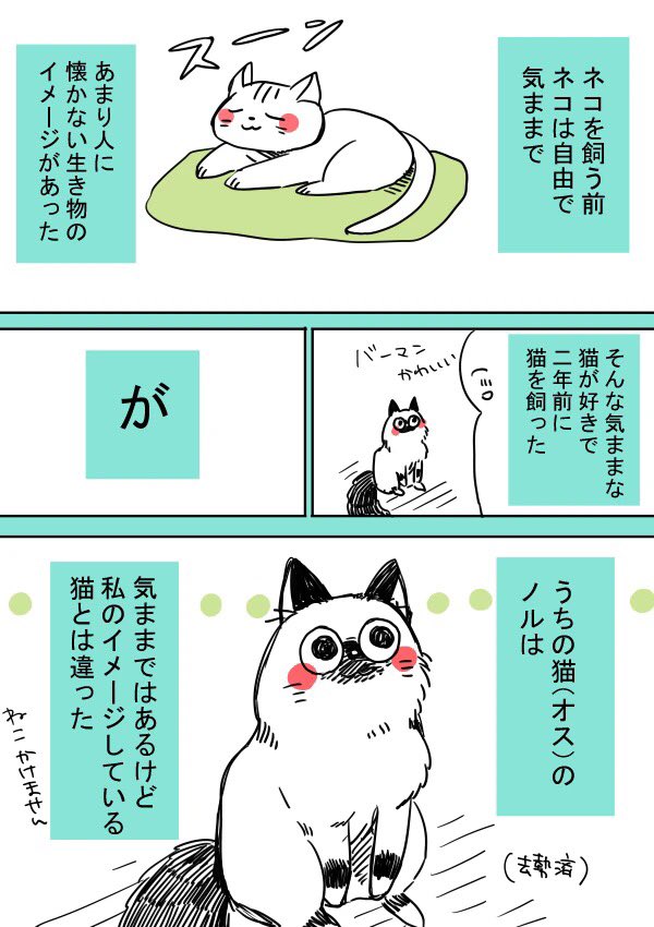自由気ままな猫を飼ったはずなのに 思っていたのと違うかった 話題の画像プラス
