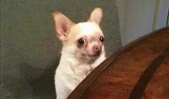 Sasuke viendo a Sakura pidiendo que le folle.

(?)